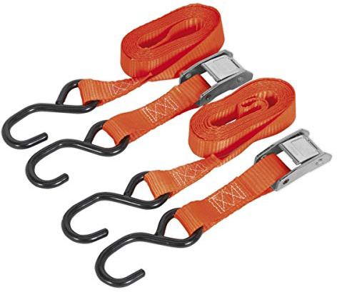 Sealey Cam Buckle Strap 25mm x 2.5m Polyester Webbing with S-Hooks 500kg Breaking Strength - TD05025CS