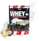 #sinob Protein Pulver (Pina Colada) - Whey Protein Pulver Mit 12,5% Isolat, Markenrohstoff Volac, viele Geschmacksorten und Super Löslichkeit aus Weidehaltung - Hochwertiges Eiweißpulver