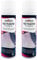 Grillfürst Profi Pflegespray für Grillgeräte, 2 x 300 ml - hochergiebiges Spray für strahlenden Glanz
