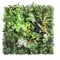 Jumplushion Panel de pared de césped artificial de 50 x 50 cm, césped artificial, valla decorativa, paneles de pared, seto de césped verde, plantas de césped falso, accesorios decorativos para el