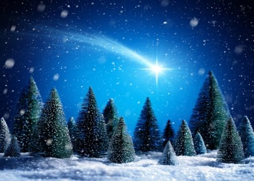 CORFOTO 2.1x1.5m Weihnachtsstern-Hintergrund,Winter,verschneite Nacht,Schnee,Kiefer,Weihnachtsbäume,Hintergrund,Weihnachtsdorf,Fotografie,Hintergrund,Weihnachtsparty,Dekoration,Hintergrund