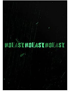Stray Kids SKZ: NOEASY (A TYPE) 2. Album CD-R + Einheit gefaltetes Poster + doppelseitige Fotokarte + Fotokarten + Fotobuch + Aufkleber + Songtext Buch