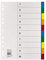 Soennecken Register 1531 DIN A4 blanko volle Höhe 10tlg. PP farbig