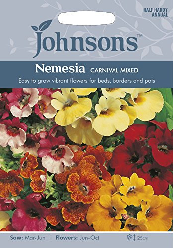 Johnsons 14007 Flower Seeds, NEMESIA Carnival Mixed
