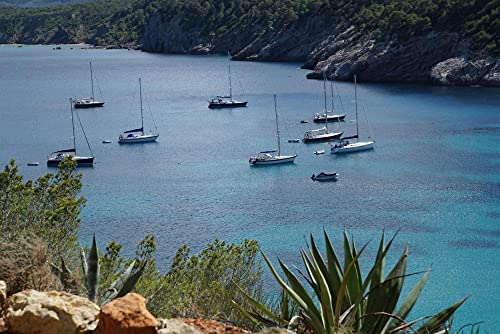 HANSEPUZZLE 20632 - Yacht-Hafen Puzzle 2000 Teile | Natur Puzzle mit hochwertiger Puzzle Aufbewahrung: Kartonbox und Wieder verschließbarem Beutel | Puzzle-Maße: 90 x 60 cm