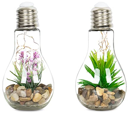 levandeo 2er Set Sukkulenten 10 LEDs Glühbirne Glas B x H: 8x19cm Deko Lampe Kunstpflanze Grün Rosa Violett Hängelampe Tischdeko