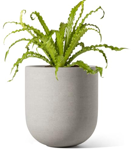 LE TAUCI Maceta de 15 cm, Maceta de Cerámica con Agujero de Drenaje y Tapón de Goma, Maceta de Interior para Hierbas y Plantas Pequeñas, Maceta Cilíndrica para Hogar y Oficina, Gris