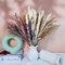 Pampasgras Trockenblumen Deko,83 pcs Natürliche Schilfblume DIY Getrocknet Strauss, Perfekt für Heim Herbst-und Winterdekoration, Boho-Stil Wohnzimmer-Schlafzimmer-und Vasen Deko (LZGSGO-0117)