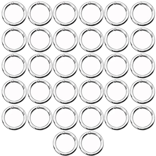 32 Stück Mini Karabiner, Runder Karabiner, Schlüsselringe 20mm, Silber Karabiner Ring Karabinerhaken Rund, Zinklegierung Runde Karabiner Snap, Schlüsselring Klein für DIY Handwerk