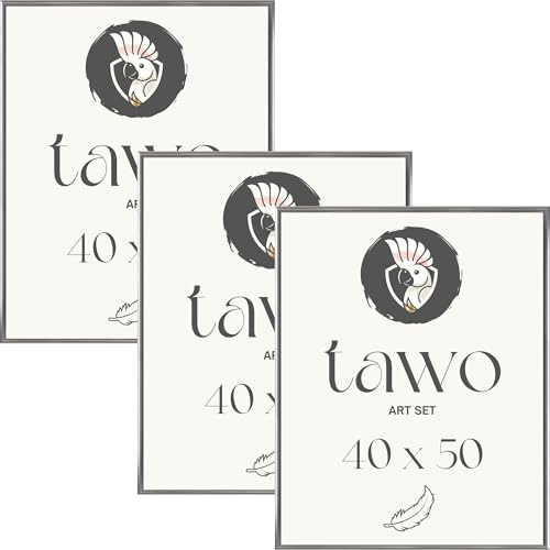 TAWO Bilderrahmen 40x50 Silber 3er Set Fotowand Fotorahmen aus leichtem Kunststoff mit Glas Picture frame Poster