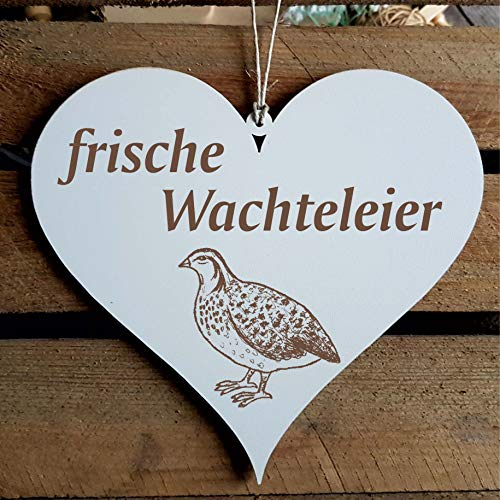 Schild Herz « frische Wachteleier » mit Motiv Wachtel - Dekoschild Dekoration Türschild - Vogel Wachteln Hofladen Bauernhof Wachtelzüchter