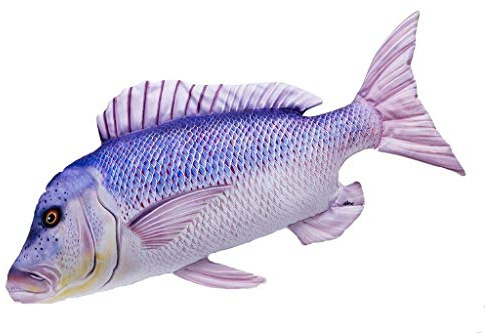 GABY Fish Pillows Dekoratives Kissen in Form eines echten Fisches, Mini Arktischer Regenbogenfisch
