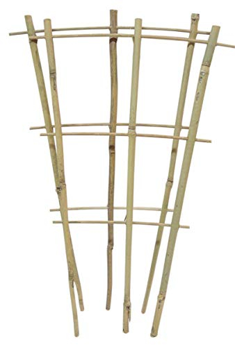 3 X(110cm) Bamboo Fan Pot Ladder Trellis, Outdoor,Indoor Plant Support, Weather Resistant Provide Support To Climbing Plant Trainer (Pack of 3)