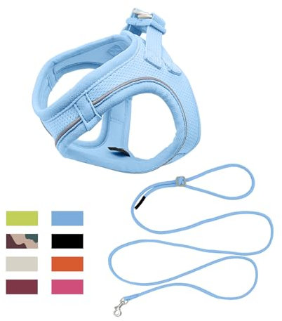 Qianruida Hundegeschirr, Step-in Geschirr für Hunde mit Leine, reflektierend, atmungsaktiv, weiches Mesh, Komfort, verstellbar, leicht anzuziehen, Weste zum Spazierengehen (Blau M)