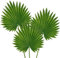 Briful Lot de 3 grandes feuilles de palmier artificielles de 65 cm de haut, grandes feuilles de palmier vertes de 30 cm, plantes artificielles décoratives pour grand vase, arrangements floraux,