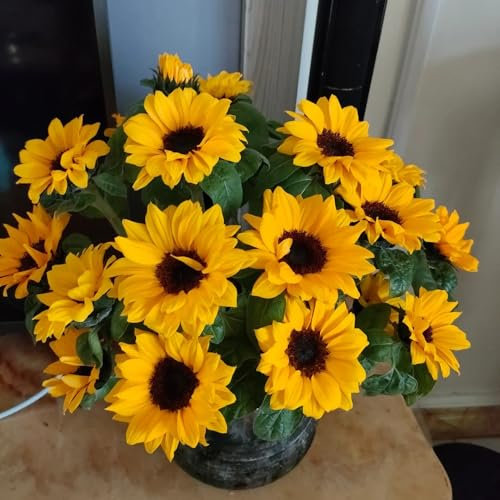 500 piezas semillas de girasol perennes, girasol resistente Plantas perennes resistentes, semillas resistentes. semillas de girasol Las plantas de jardín son plantas perennes resistentes,