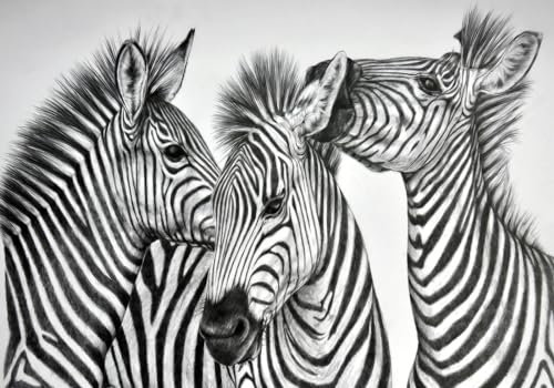 Wesmilewallpaper Papier Peint 3D Intissé Murales Animal Sauvage Zèbre Abstrait Noir Et Blanc Papier Peint Panoramique Tapisserie Peinture Géant Poster Photo 300x210cm