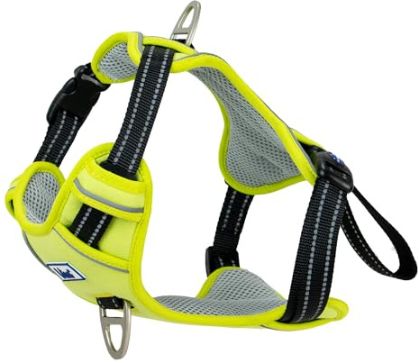 Ancol Viva Exercise and Travel Dog Harness in Lime - Comfortable Pet Accessory with Padded Chest and 2 Leash Clips - Large 60-85cm