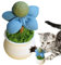 SEYIMTU Potted Catnip Toy - Natural Catnip Formula Interactive Lick Ball for Indoor Cats, Pot-Shaped Decorative Enrichment for Bored Kittens & Home Environments​​