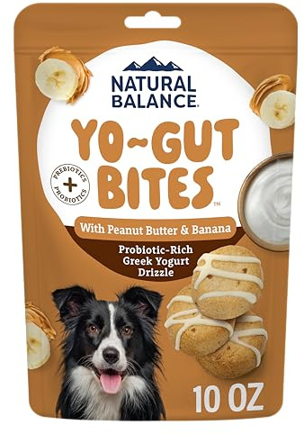Natural Balance Yo-Gut Bites Crunchy Dog Treats with Real Peanut Butter & Banana, Greek Yogurt Drizzle, Probiotics for Digestive Support, 10oz Bag