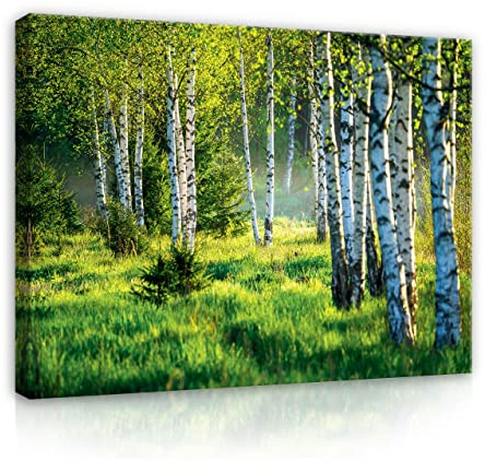 WallArena Leinwand Bilder Wald Grün Natur Landschaft Birken Birkenwald - 120x80 cm Leinwandbilder Bild auf leinwand Wandbild XXL groß Wandbilder für Wohnzimmer Schlafzimmer Wohnzimmerbilder Modern