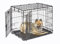 MidWest Homes for Pets iCrate Modell 1524 Hundebox, ca. 61 cm lang, mit Doppeltür, auslaufsicherer Bodenwanne, Bodenschutzfüßen, Trenneinsatz und patentierten Funktionen, schwarz