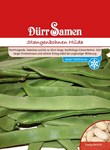Dürr-Samen - Stangenbohnen Hilda Saatgut