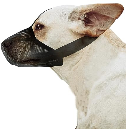 Weicher Maulkorb für Hunde, Verstellbar Trinkbar Netz Maulkorb für Hunde Kleine Mittelgroße Hunde Große Hunde Hundemaulkorb um Das Kauen Beißen und Bellen zu Stoppen (Schwarz, M)