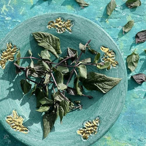 Edible Freeze Dried Chocolate Mint Leaves - 400ml - UK Grown - Certified Food Grade (523)