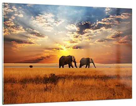 Wandbilder Dekoration Wohnzimmer Elefanten Safari Dschungel Busch Bilder auf Glas 120x80cm Glasbild Schlafzimmer Küche Deko Wand Kunstdruck Art Groß XXL Wanddeko Bild im Glas Modern GAA120x80-3150