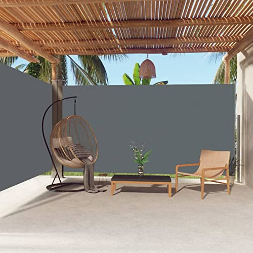 Homgoday Toldo Lateral retráctil Antracita 200x600 cm toldos para terrazas Toldo para Balcón Ventana Resistente a los Rayos UV para Jardín Terraza Ventanas