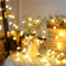 Zorela Globe Fairy Lights, 15M/49ft 100 LED Fairy String Lights with Remote - USB or Battery Powered - 8 Modes - Outdoor Indoor Globe String Lights for Christmas, Bedroom, Garden, Balcony