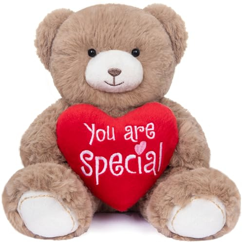 My OLi 18cm Teddy Plüschbär mit Herz Rot-You Are Special | Dunkelbraun Teddybär Plüschteddy Kuscheltier Schmusetier für Babys Kinder Jungen Mädchen Liebhaber