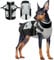 Hundemantel mit Geschirr, Hundejacke Winter Hundemantel mit Bauchschutz Hunderegenmantel Mittelgroße Hunde Hundepullover Wasserdicht(Schwarz, M)