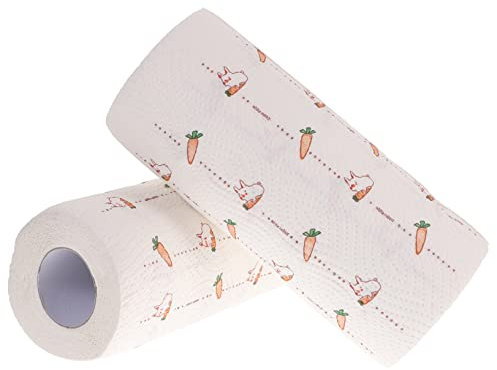 FRCOLOR 2rouleaux Essuie-tout De Cuisine Absorbant Papier à Motifs Nettoyage Pour Éliminer Graisse Et Résidus Alimentaires Lot De De Fournitures Ménagères
