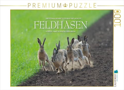 CALVENDO Puzzle EIN Motiv aus dem Kalender Emotionale Momente: Feldhasen | 1000 Teile Lege-Größe 64 x 48 cm Foto-Puzzle für glückliche Stunden