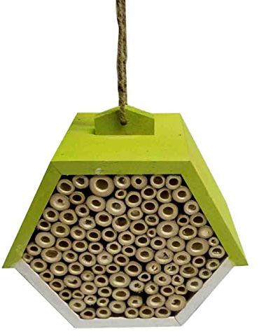 Dehner Natura Insektenhotel Belfast, ca. 19.5 x 18 x 11 cm, Kiefernholz/Bambus, hellgrün