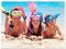 wandmotiv24 Premium Poster - Fotodruck als Wandbild - Posterdruck - Poster mit eigenem Foto - individuelle Wanddeko - Foto-Poster - 40x30cm - Querformat