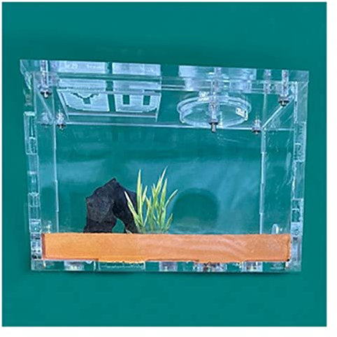 Ameisenzuchtbox, Ameisenfarm, unbegrenzte Erweiterung, Ameisennest, ökologische Ameisenfarm, gelber Schlamm, feuchtigkeitsspendend, Formicarium-Box, Ameisenhaus, Acryl, Insektenvilla Ameisenhütte,