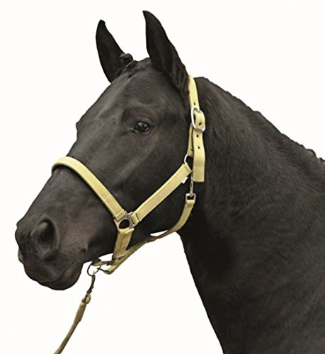 HKM Stars Economy Softice Head collar Milky Yellow Full