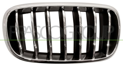PRASCO BM8262013 Frontgrillspoiler