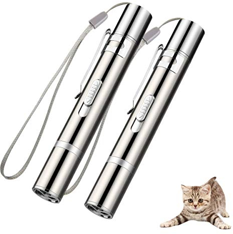 EWIGE LED Pointer, Spielzeug für Katzen Hund Haustier mit USB Wiederaufladbar interaktives Fangspiel (2-Stück)