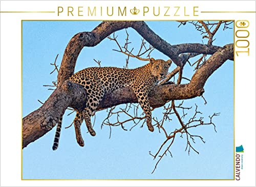 CALVENDO Puzzle Wilder Leopard auf Baum 1000 Teile Puzzle quer | Lege-Größe cm Foto-Puzzle für glückliche Stunden