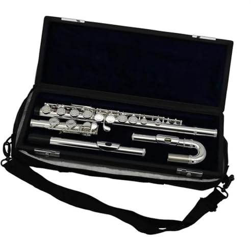 Querflöte Instrument Schülerflöte Mit 16 Geschlossenen Löchern, Gebogenes Kopfstück, C-Ton, Versetzte G-Taste, Italienisches Polster Mit Koffer (Color : 02)