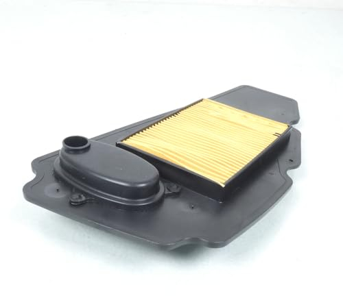Filtro aria P2R per Scooter Honda 250 NSS Forza 2005-2007