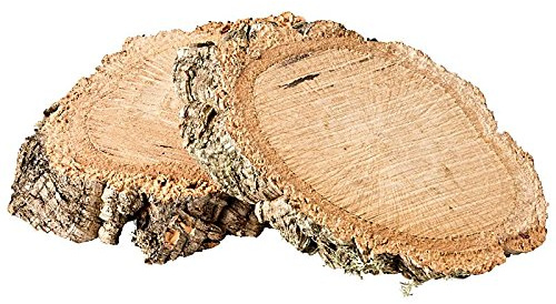 2 Baumscheiben aus Korkeiche, ca. 16 x 11 x 2 cm, für Tiere und Deko | Naturbelassene Korkstücke aus Portugal, bei 65 °C hitzebehandelt, für Nager, Reptilien, Terrarium und Basteln