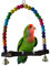 Color 14 cmx14.3 cm Juguete para pájaros en Madera, Columpio Loro conexión de Las Campanas, Elégante Swing balancín Colgante de Periquito