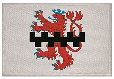 U24 Aufnäher Leverkusen Fahne Flagge Aufbügler Patch 9 x 6 cm