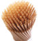 BERNOI 200 pailles de Canne à Sucre/pailles écologiques biodégradables/Longueur 20cm/pour Les fêtes de Plage de Restaurant à la Maison