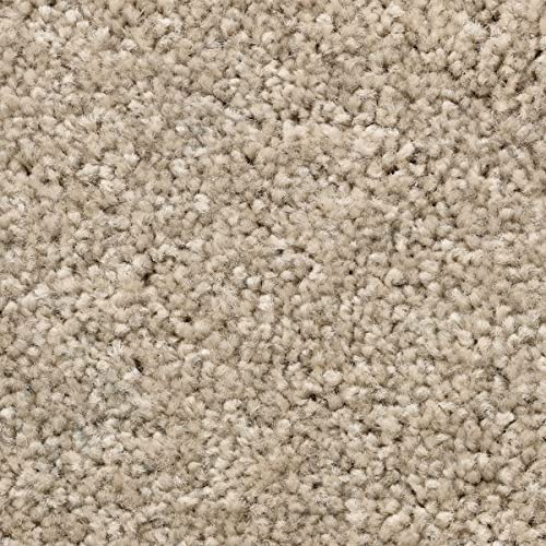 Auslegware Teppich Meterware braun in 400 cm und 500 cm Breite mit Textilrücken Kräuselvelours Teppichboden weich ideal für Wohnzimmer (4 m x 5,5 m)
